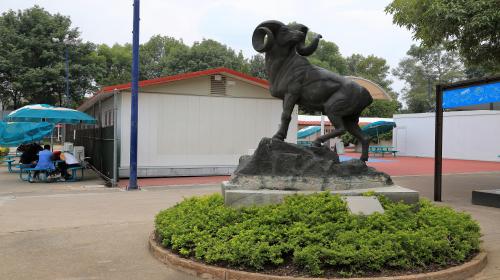 Borrego